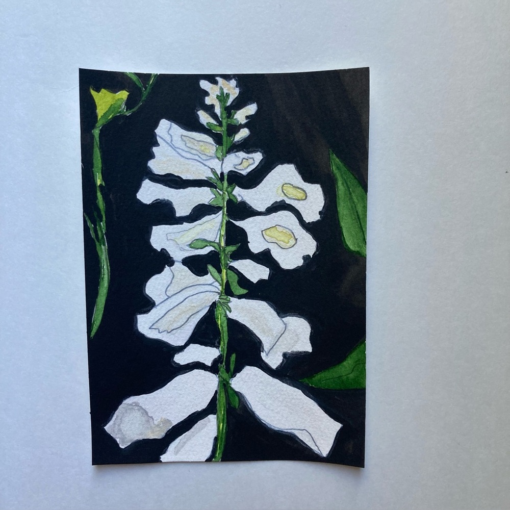 Watercolor Floral Art